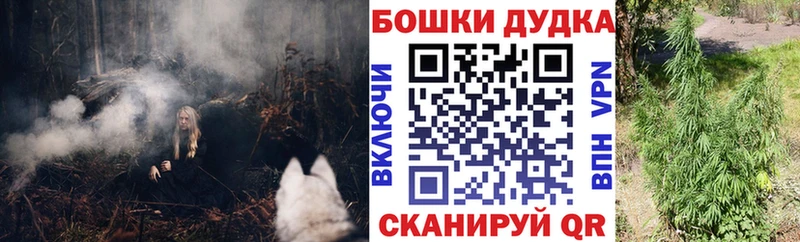 Где купить Ленск Alpha-PVP  Амфетамин  ГАШИШ  МДМА  Меф мяу мяу  Псилоцибиновые грибы 